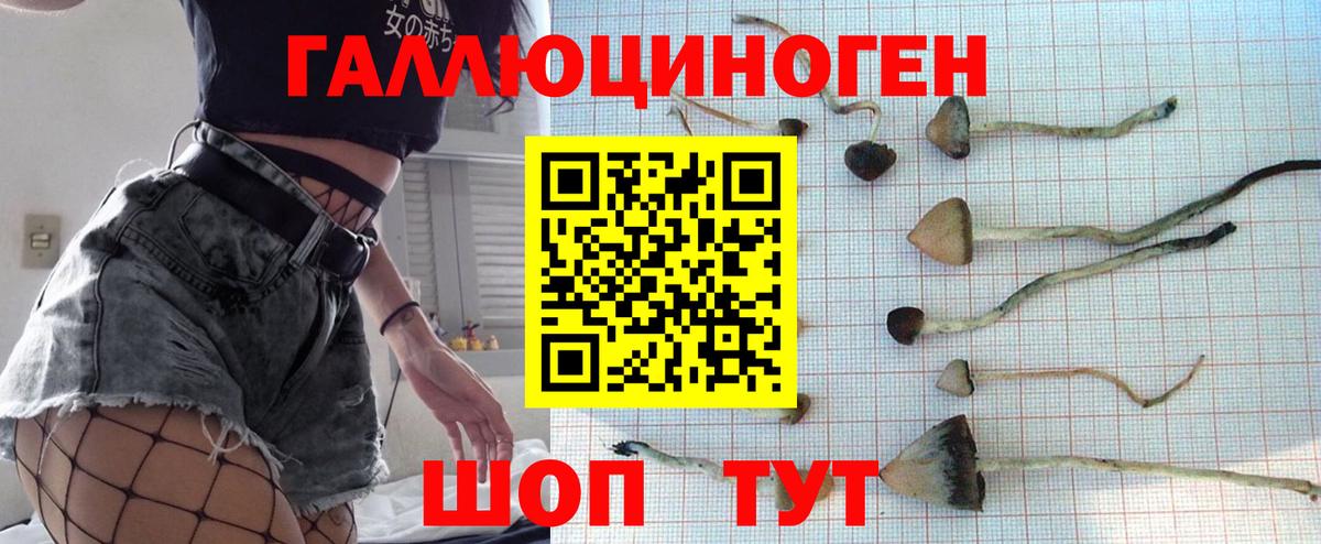 Артёмовский  Псилоцибиновые грибы ЛСД  Вход с VPN 